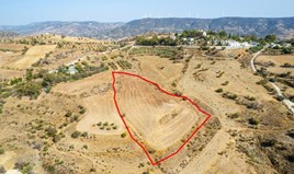 Land 10034 m² in Paphos