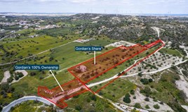 Land 29099 m² in Larnaka