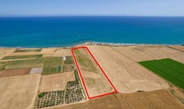 Land 27960 m² in Larnaka