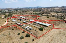 Property 57595 photo 4