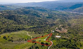 Land 5686 m² in Paphos