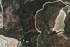 Property 57604 photo 1