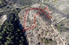 Property 57606 photo 2