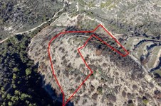 Property 57606 photo 3