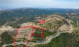 Land 34116 m² in Paphos