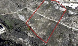 Land 13379 m² in Paphos