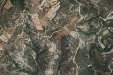 Property 57611 photo 1