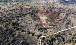 Land 6355 m² in Limassol