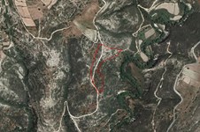 Property 57613 photo 1