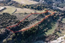 Property 57614 photo 2