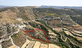 Land 11706 m² in Limassol