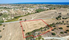 Land 8362 m² in Larnaka