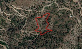 Land 8362 m² in Limassol