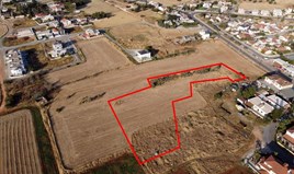 Land 6655 m² in Agia Napa