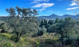 Land 8781 m² auf Korfu