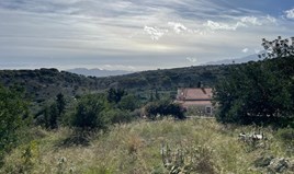 Terrain 4000 m² en Crète