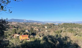 Land 11029 m² in Corfu