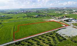 Land 13044 m² in Larnaka