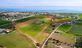 Land 73412 m² in Larnaka