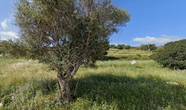 Land 4150 m² auf Zakynthos