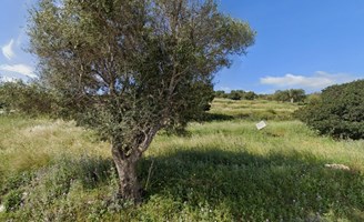 Land 4150 m² auf Zakynthos