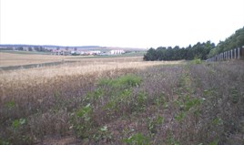 Land 4370 m² in Kassandra, Chalkidiki