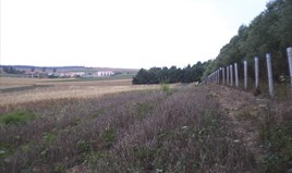 Land 4370 m² in Kassandra, Chalkidiki