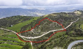 Land 27760 m² in Paphos