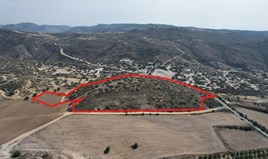 Terrain 39131 m² à Larnaka