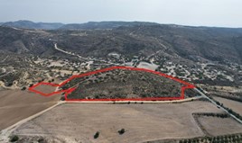 სასტუმრო 39131 m² Larnaka