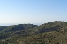 Property 58615 photo 5