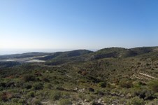 Property 58615 photo 3