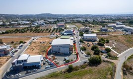 ვილა 1375 m² Paphos