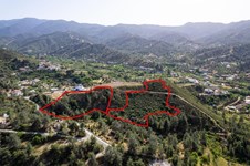 Property 58625 photo 2