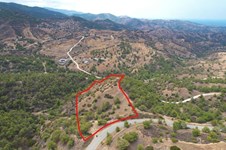 Property 58627 photo 2