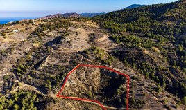 Land 16389 m² in Paphos