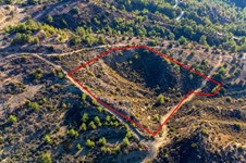 Property 58628 photo 3