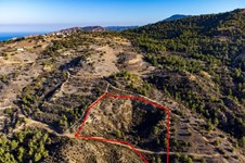 Property 58628 photo 1