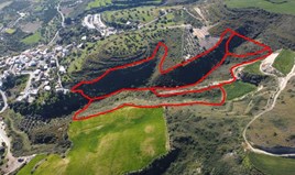 Land 44818 m² in Paphos