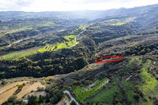 Property 58635 photo 3