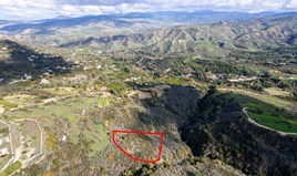 Land 5017 m² in Paphos