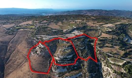 Terrain 43145 m² à Paphos