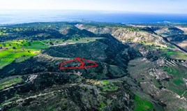 Land 2537 m² in Paphos