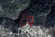 Property 58641 photo 1