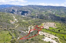 Property 58642 photo 4