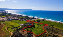 Land 26422 m² in Paphos