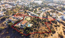 Land 12598 m² in Paphos