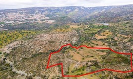 Land 28763 m² in Paphos