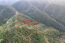 Property 58669 photo 5