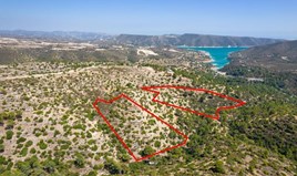 Terrain 26088 m² à Paphos